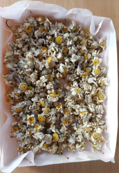 herboristerie de Fleurs de camomille Bio