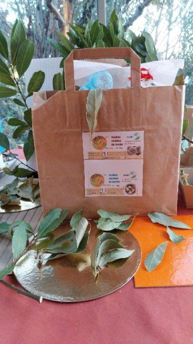 Feuilles  séchées de laurier Bio pour épice ou infusion