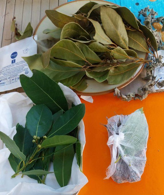 Herbes aromatiques--Le thym et le laurier frais