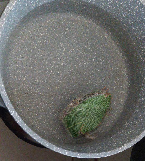 Feuilles  séchées de laurier Bio pour épice ou infusion