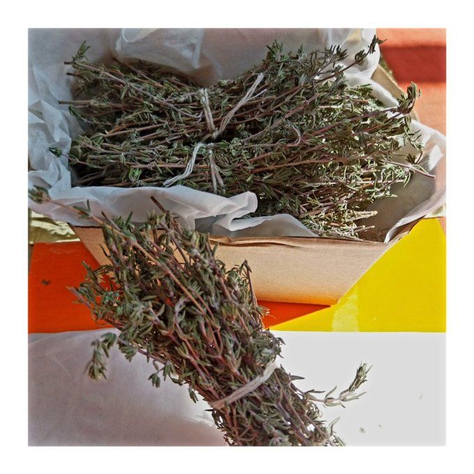 Herbes Aromatiques comme le Thym Naturel  Epices/Tisane
