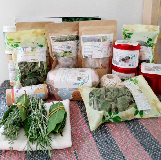 Herbes aromatiques--Le thym et le laurier frais