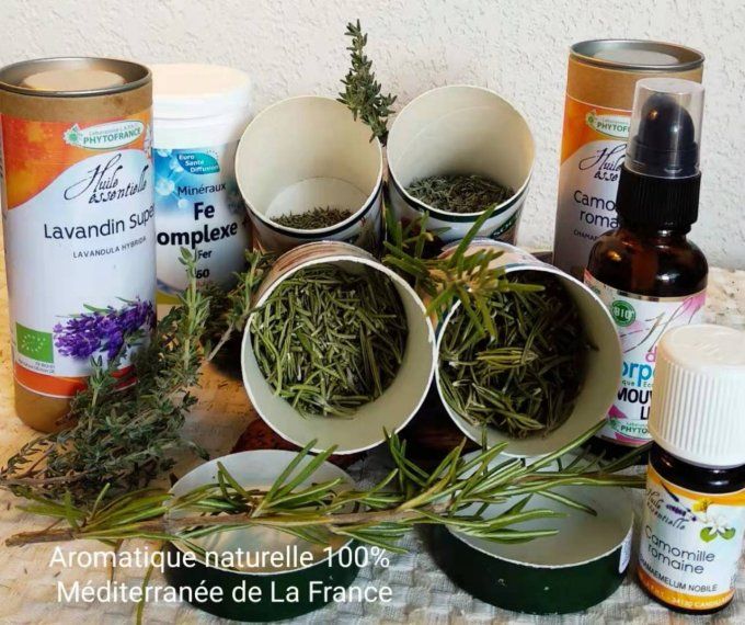 Herbes aromatiques comme  le romarin