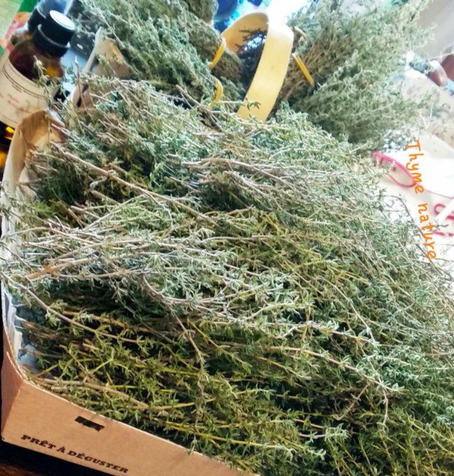 Herbes Aromatiques comme le Thym Naturel  Epices/Tisane